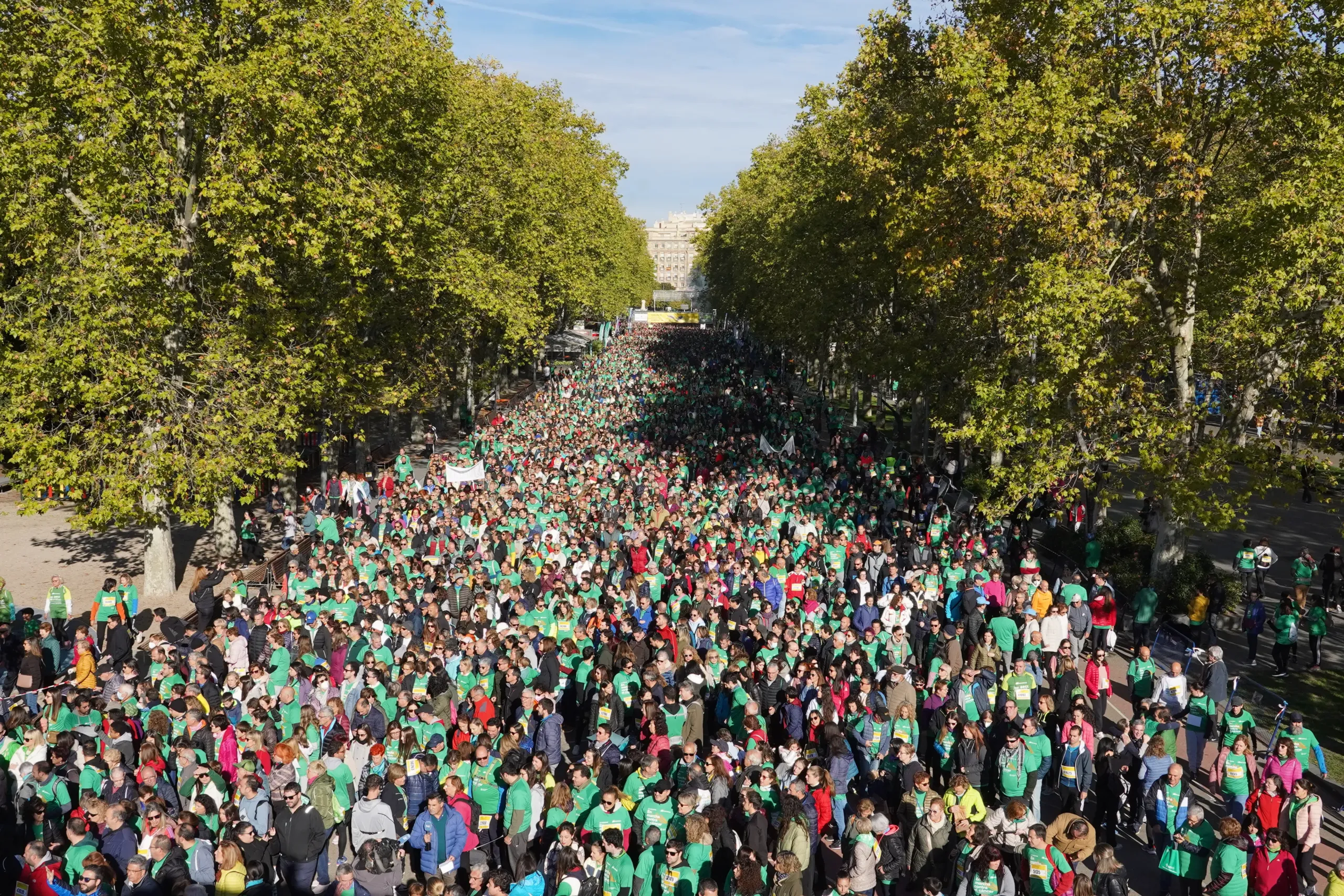 XIV Valladolid en Marcha contra el Cáncer